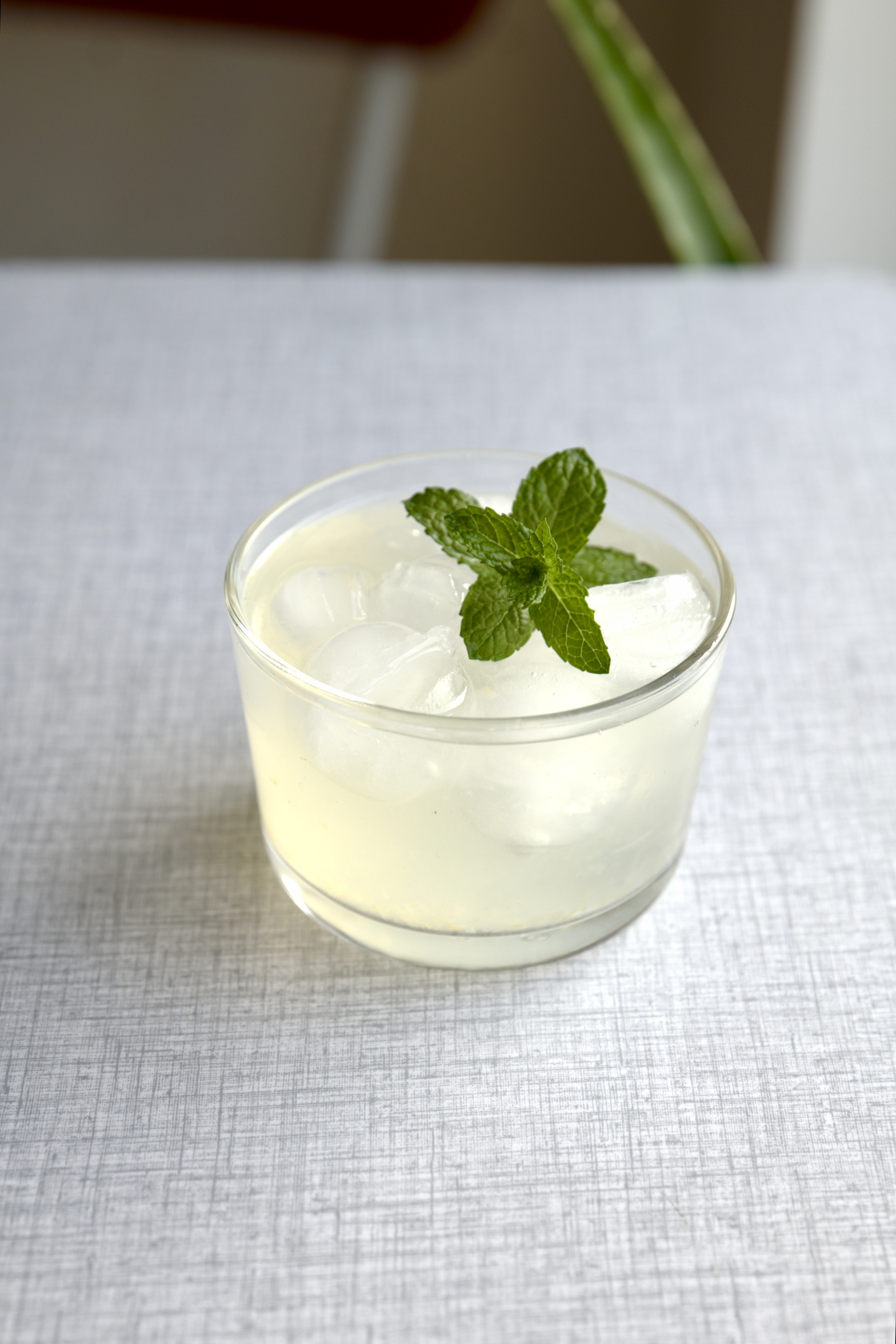 Frisklavet lemonade med citronskiver, isterninger og mynteblade serveret i et glas.
